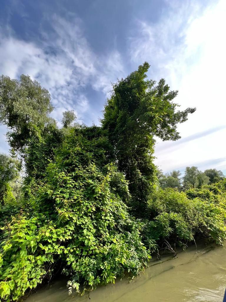 Vila Lac Murighiol